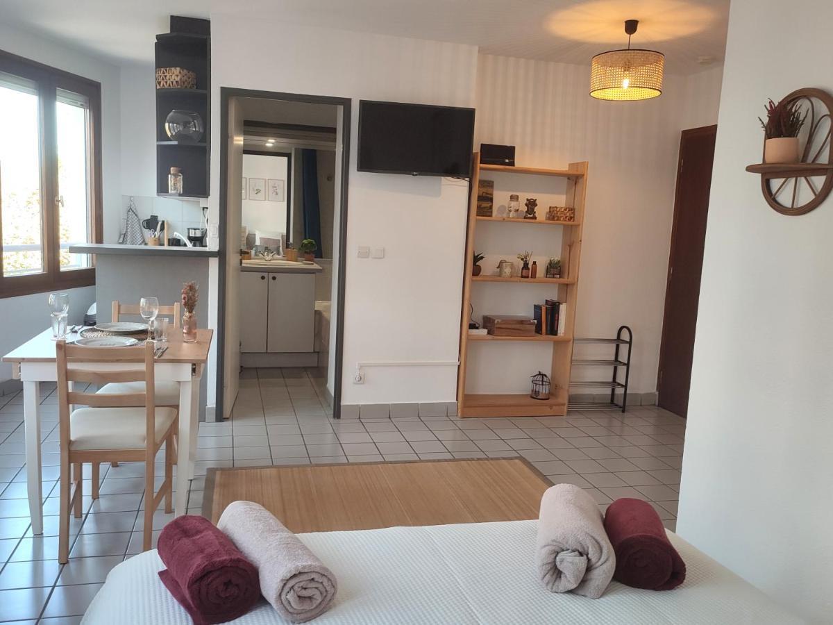 Joli Studio Tout Confort - Centre-Ville Annecy Eksteriør billede